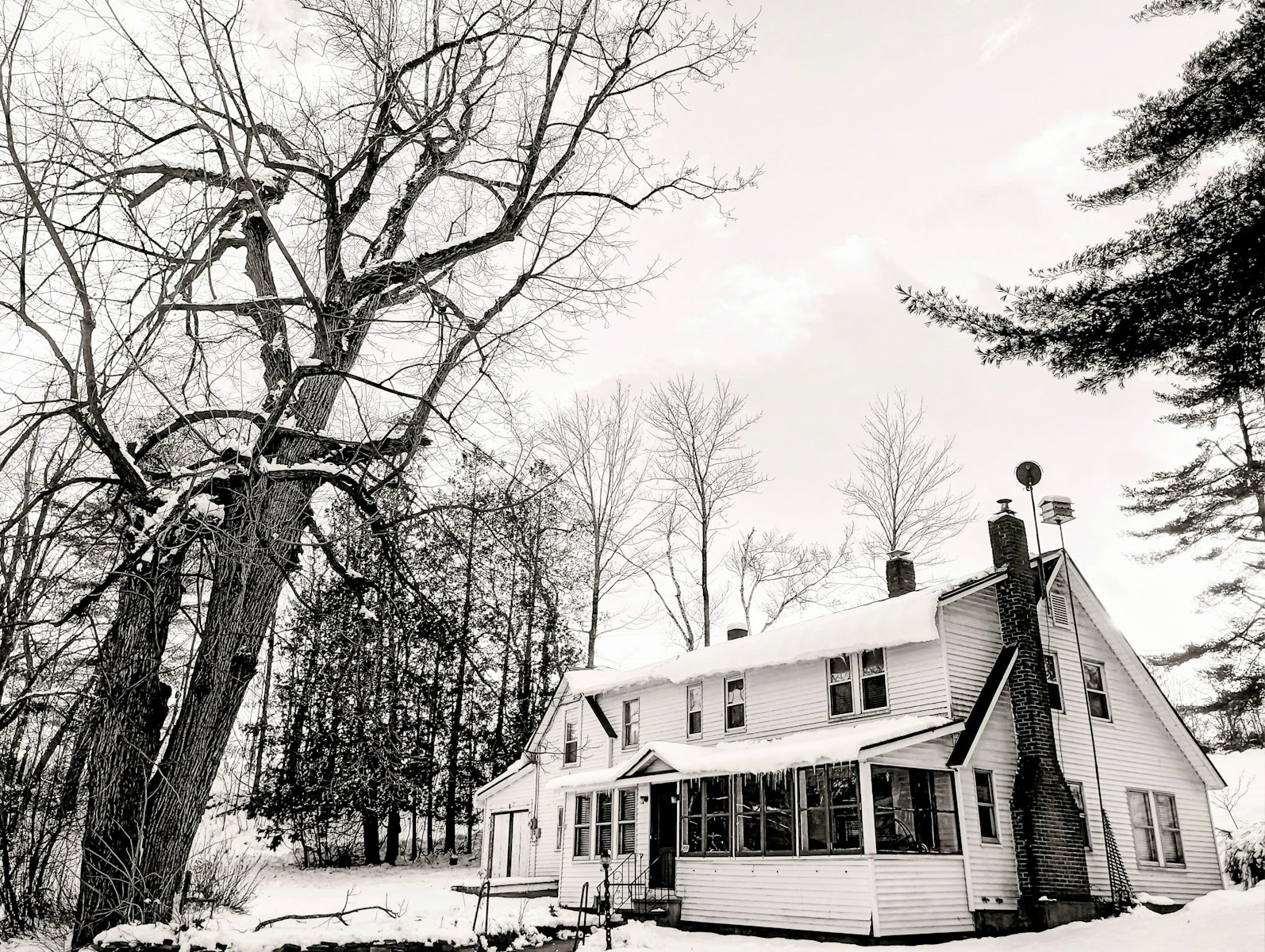 A snowy landscape with a white house and bare trees, home
